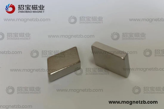Customized Bonded NdFeB Compression Molding Neodymium Rare Earth Permanent Magnets