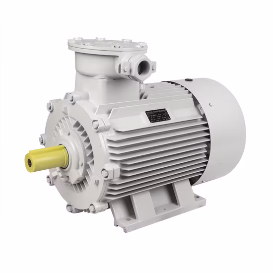 Explosion Proof Flameproof Asynchronous Synchronous AC DC Electrical Induction Electric Motor